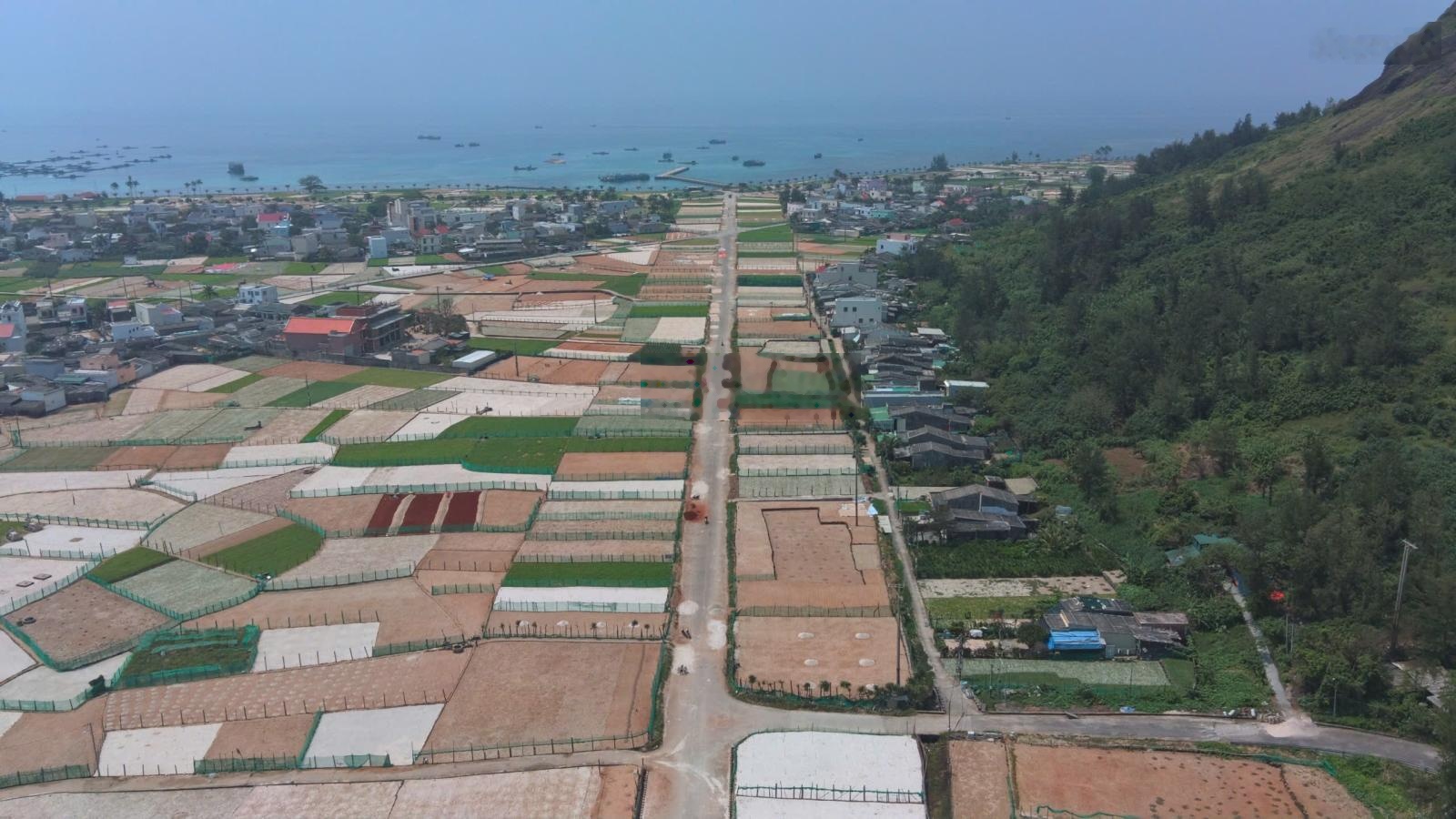 Bán nhà riêng An Hải, Lý Sơn, Quảng Ngãi, giá tốt 256m2 full thổ cư