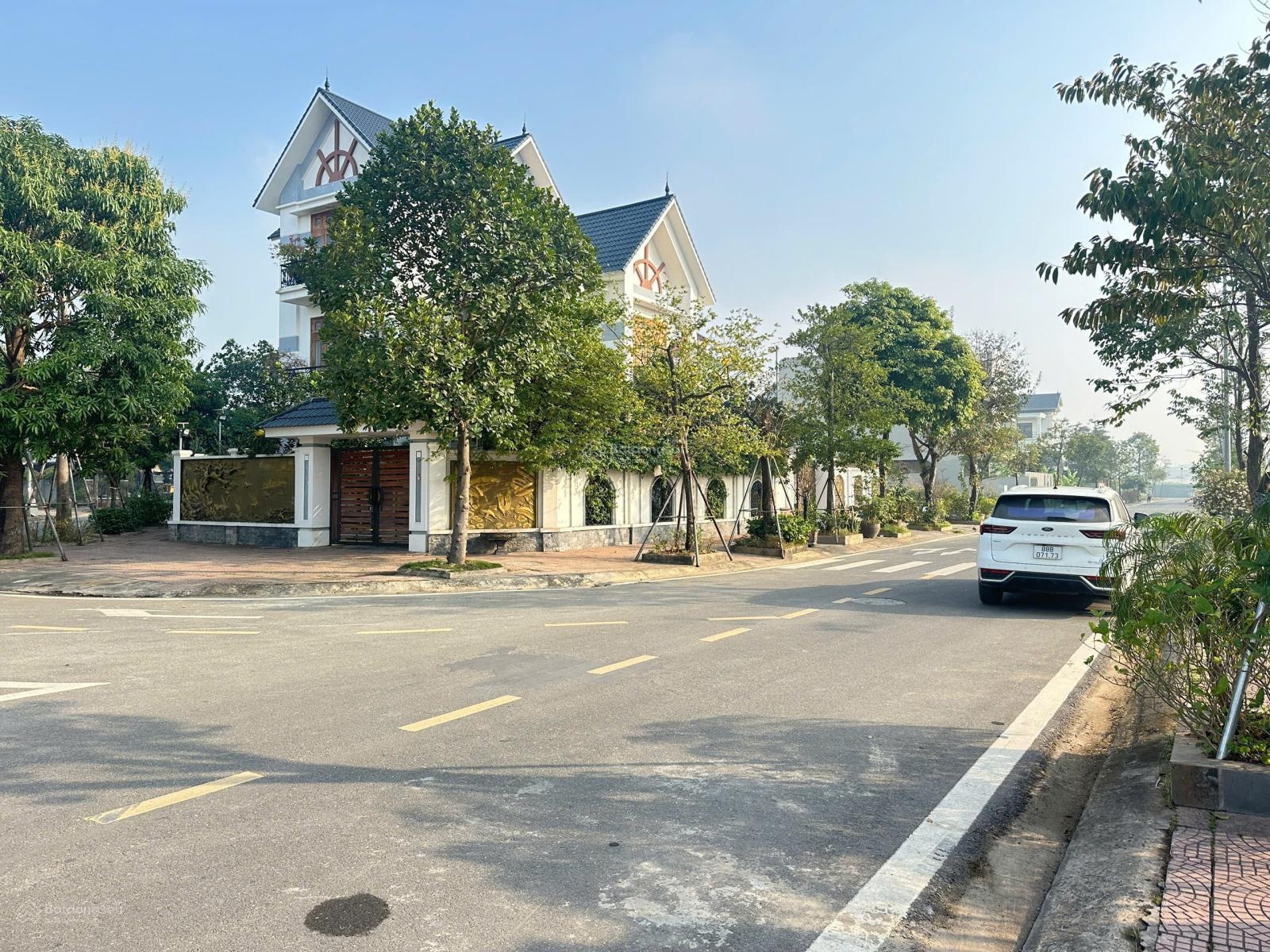 Chính chủ bán gấp lô đất BT đẹp KĐT Nam Vĩnh Yên, Khai Quang DT 300m2 MT 11,75m sẵn sổ 30,5tr/m2