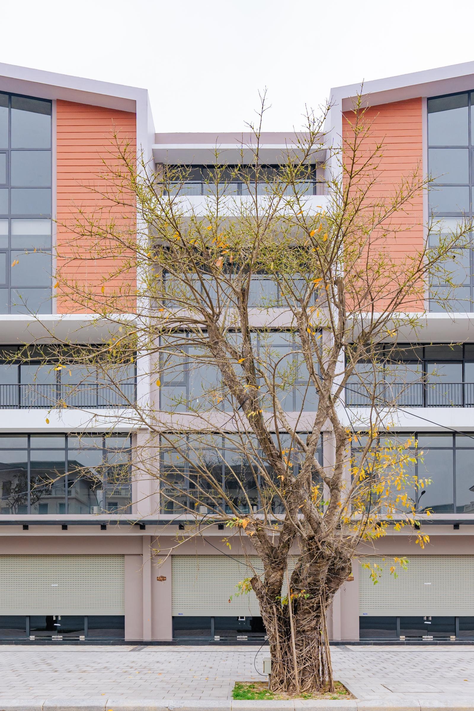 Chính chủ chuyển nhượng shophouse nhà phố thương mại 140m giá 20 tỷ