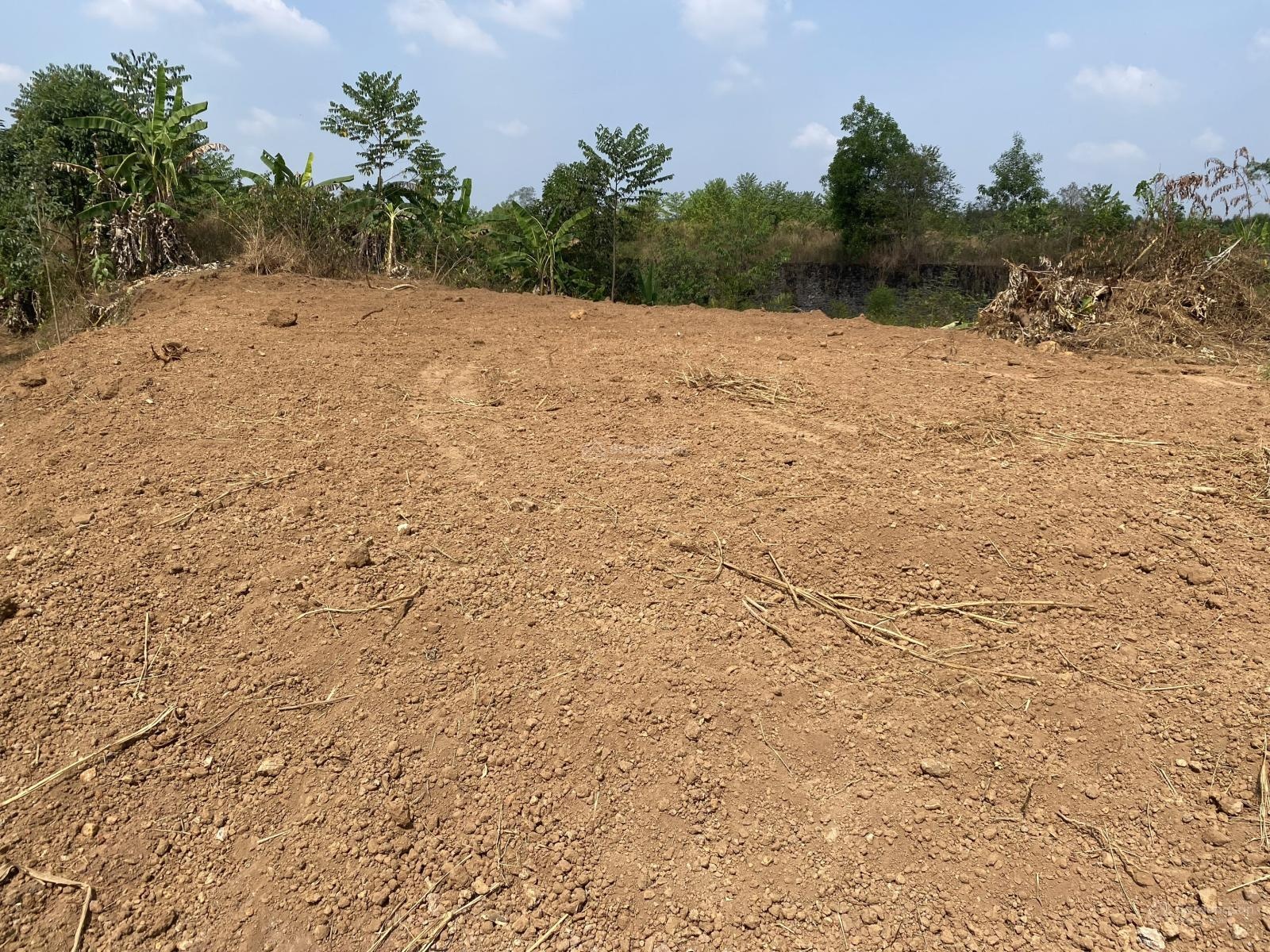 2 lô 1000m2, đường 769 vào 50m, khu dân cư, đường thông thoáng