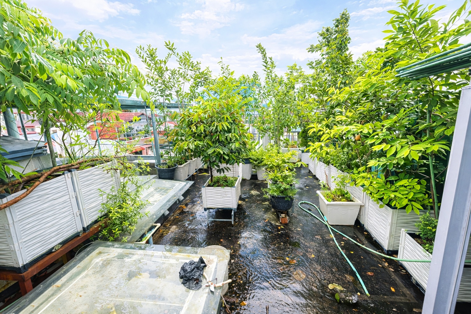 Bán nhà phố Kim Mã 50m2 *5 tầng - 6 ngủ - nhỉnh 13 tỷ gần Lăng Bác - Ngọc Hà - Núi Trúc..