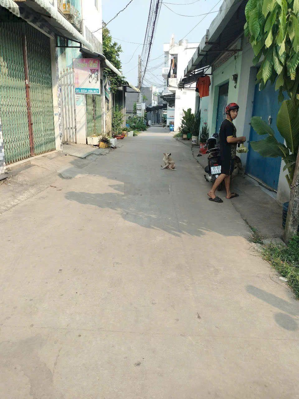 Bán dãy trọ SHR 10x30m, 1/ ngắn Tỉnh Lộ 824