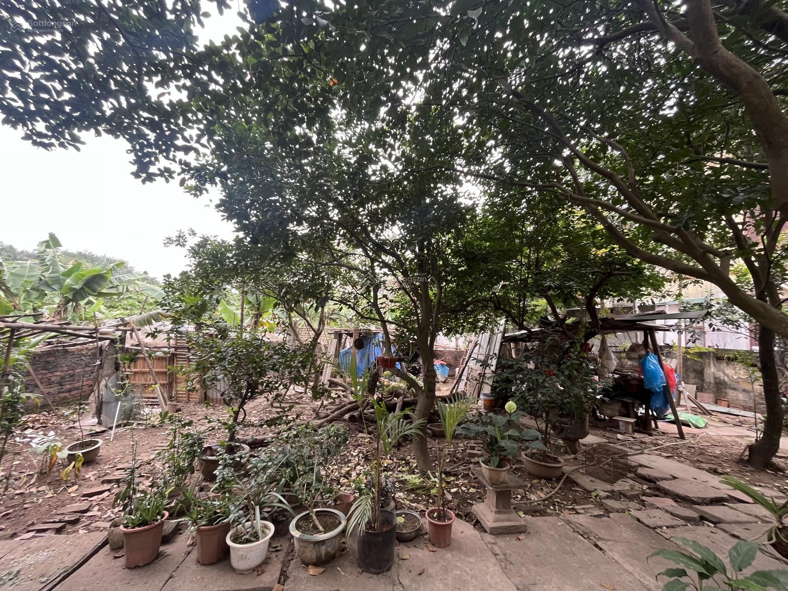 Bán mảnh đất ở Thanh Lân rộng 90m, mặt tiền 8m, ngõ rộng thoáng, giá 14 tỷ