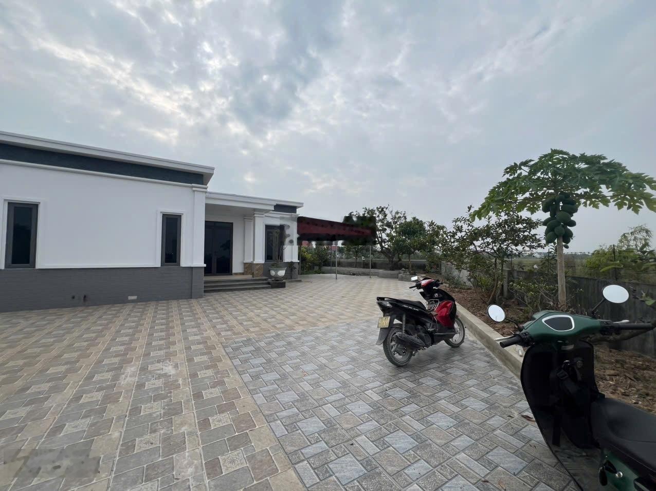 Nhà vườn Tân Phong thực tế 602m2 giá đầu tư 4tỷ250tr