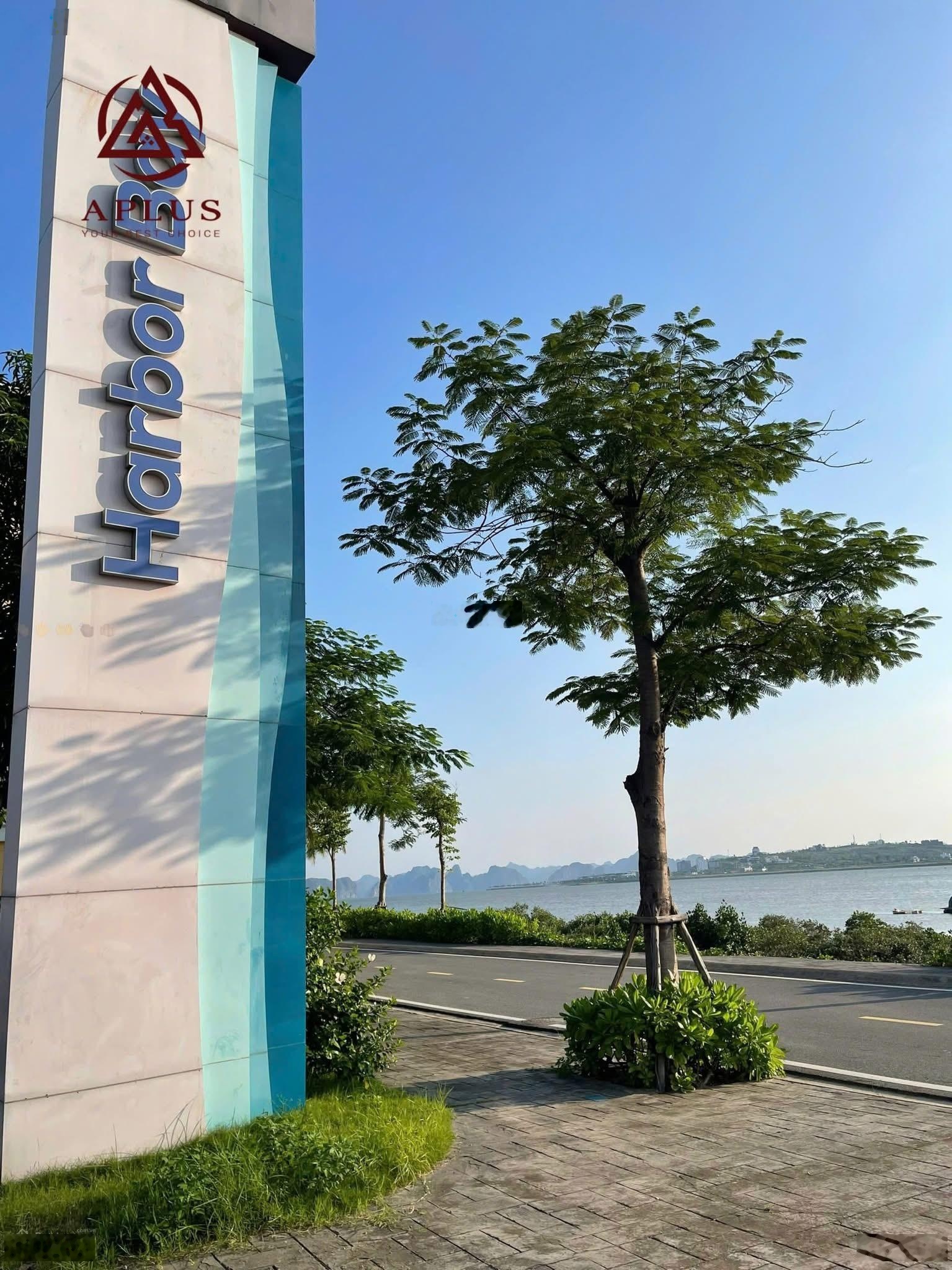 Full giá 11 tỷ - căn góc vườn hoa 115m2 Harbor Bay - gần hồ nhạc nước, gần trục đường chính