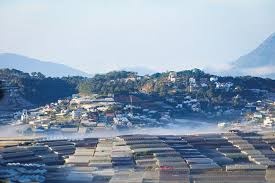 Cho thuê siêu phẩm tại Đà Lạt diện tích 15.000m2