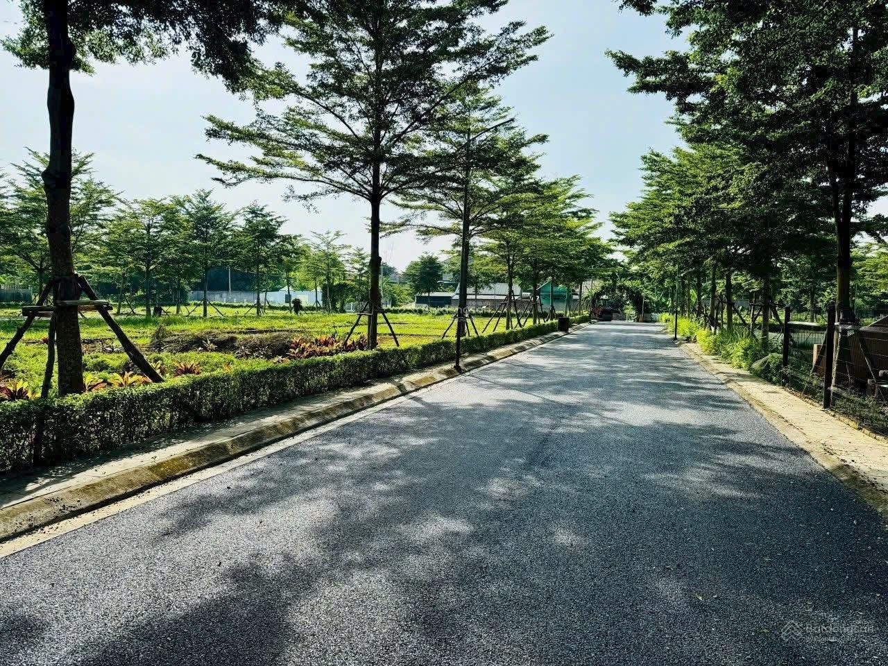 Đất phú cát giáp tổ hợp y tế kinh doanh tốt