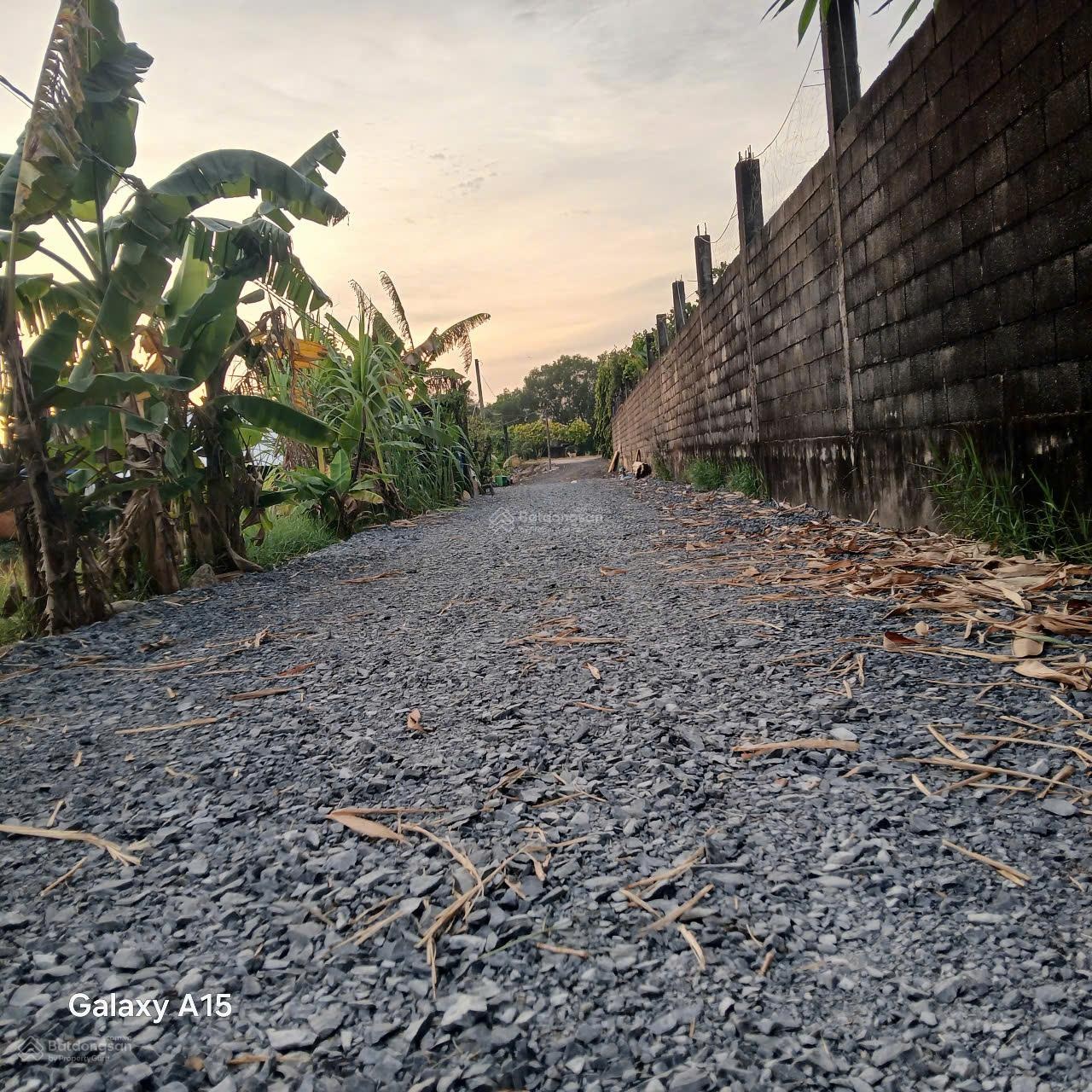 Cho thuê đất trồng cây lâu năm hẻm 5m (XT) Nguyễn Thị Lắng, X. Tân Phú Trung, H. CC giá 30tr