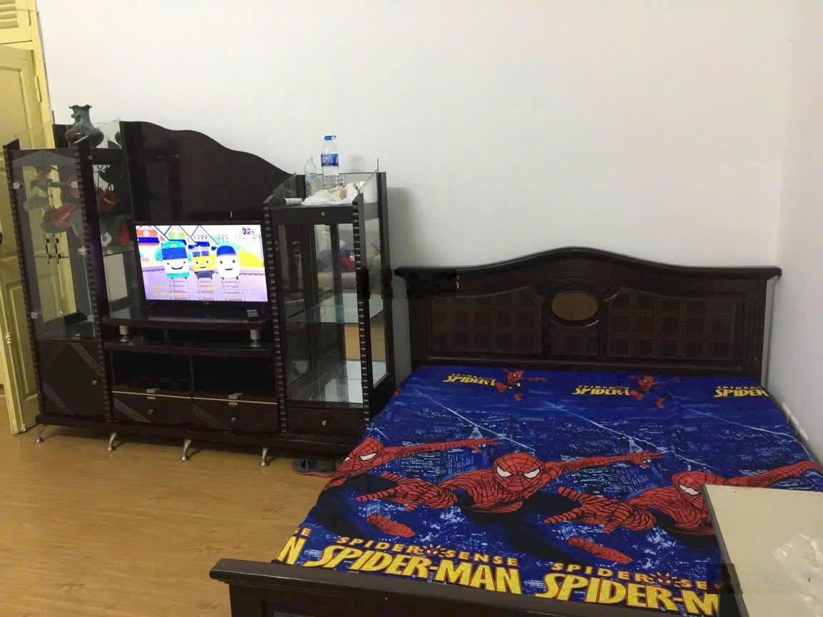 Cho thuê căn hộ chung cư 54m2, nhà N6D, Hà Nội, đầy đủ tiện nghi