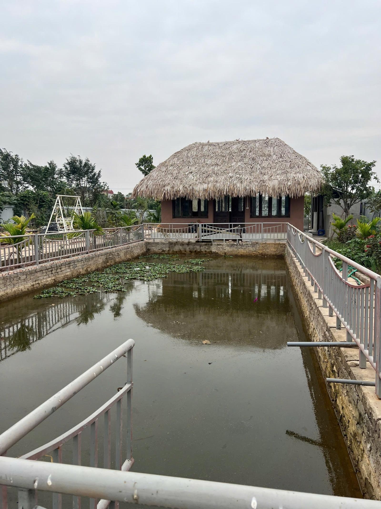 Cần bán mảnh đất trồng cây hàng năm tại Thuận An - Hà Nội