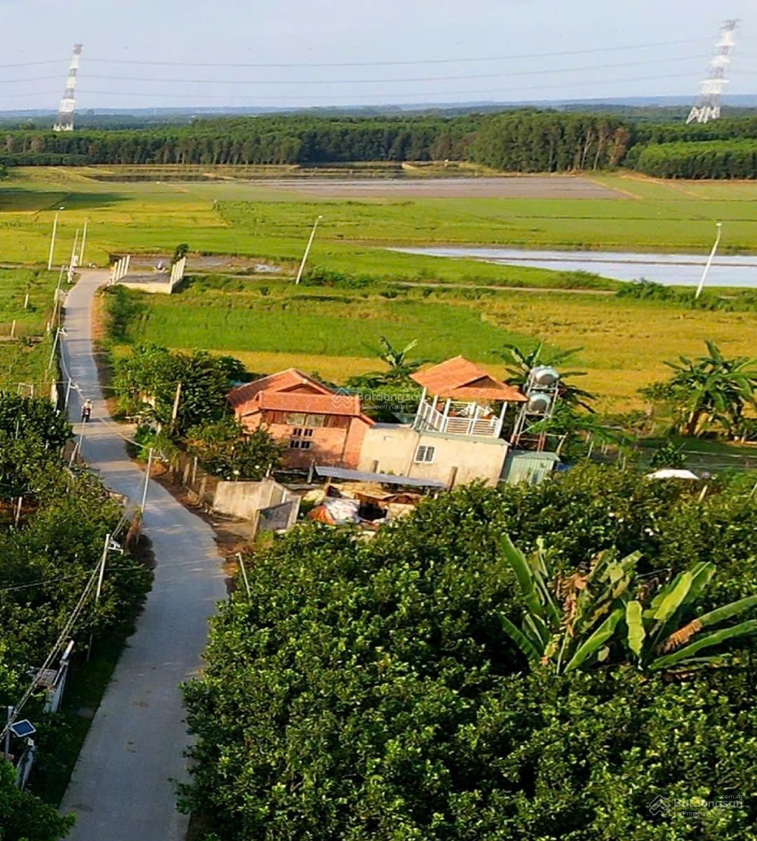 2650m2 Đất phường Tân Triều, đường bê tông thông qua Tỉnh Lộ 768, xung quanh đầy đủ chợ, trường học