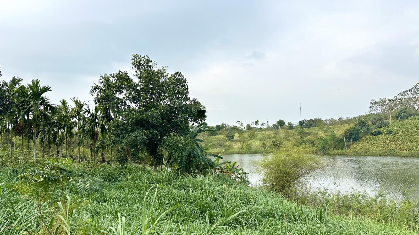 Cần bán view hồ Đập Vống 1870m2, TC 250m2, MT 21m tại thôn Đầm Sản xã Minh Quang cũ