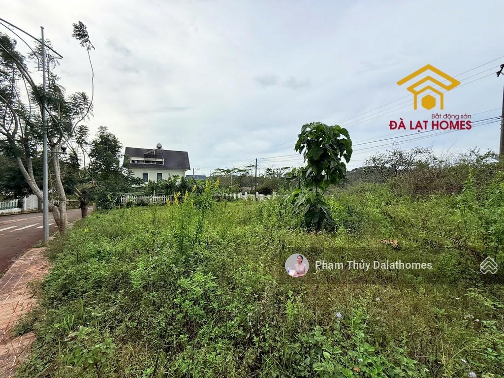 Nền biệt thự Richland Măng Lin Đà Lạt, 2 mặt tiền đường nhựa khu nghĩ dương siêu đẹp