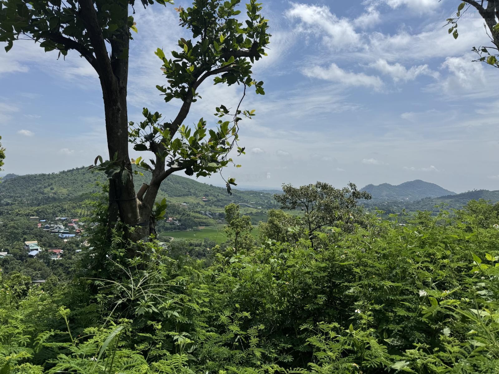 Siêu phẩm đất nghỉ dưỡng VIP nhất Hoà Lạc