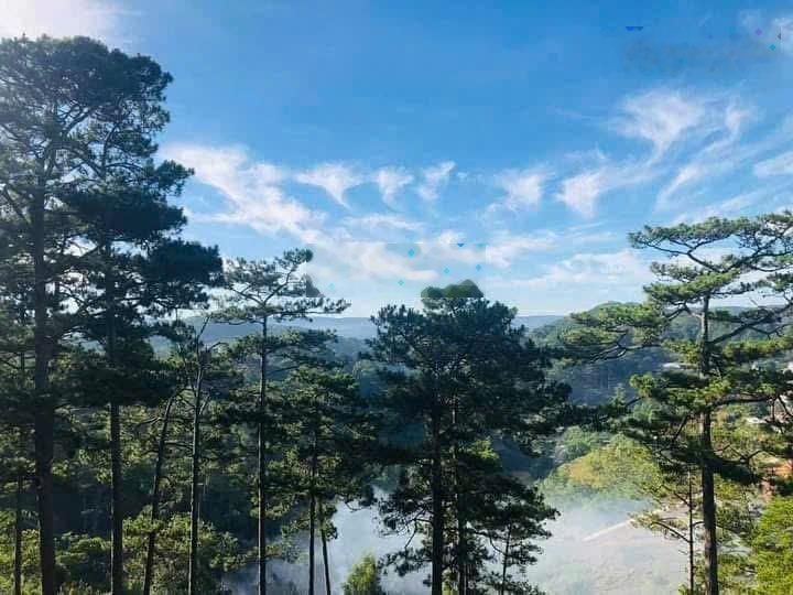 Chủ hạ giá cần bán gấp trước tết, 300m2 tách được 4 lô liên kế sân vườn view rừng thông vĩnh viễn