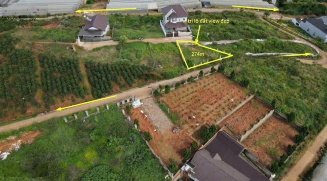 View rừng thông Xuân Thọ Đà Lạt lô đất nghỉ dưỡng 274m2 - giá tốt ac mua nghỉ dưỡng, xây biệt thự