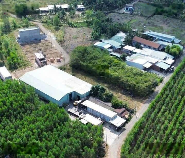 779 triệu có ngay 100m thổ cư An Viễn, giá còn rất tốt