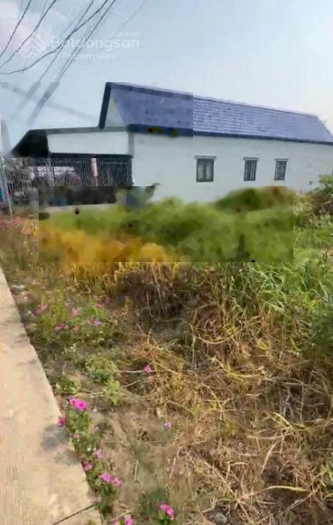 Chính chủ cần bán đất Thổ cư liền kề 472.7m2 tại đường Xóm Mới, xã Tân Lân, Huyện Cần Đước 2,5 tỷ