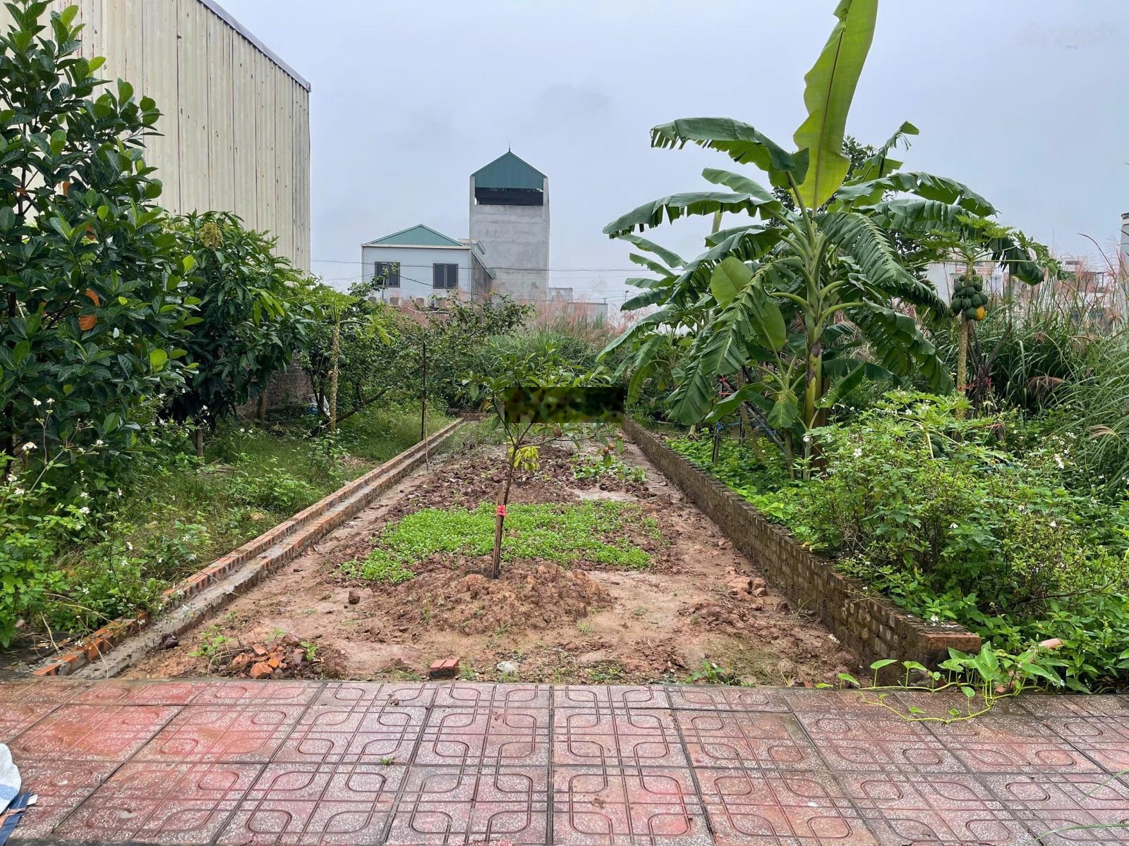 78m2 vỉa hè 2.5m giá 12x DV Song Phương