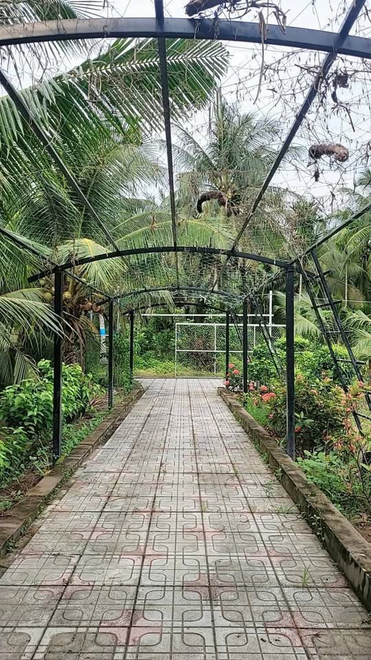 Bán nhà và đất Nhơn Trạch, Bến Tre, đường xe 4 chỗ