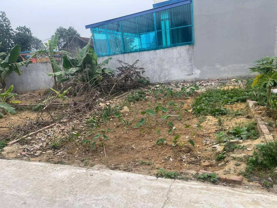 Bán đất Xuân Dục, Sóc Sơn, diện tích 42,5m2, full thổ cư