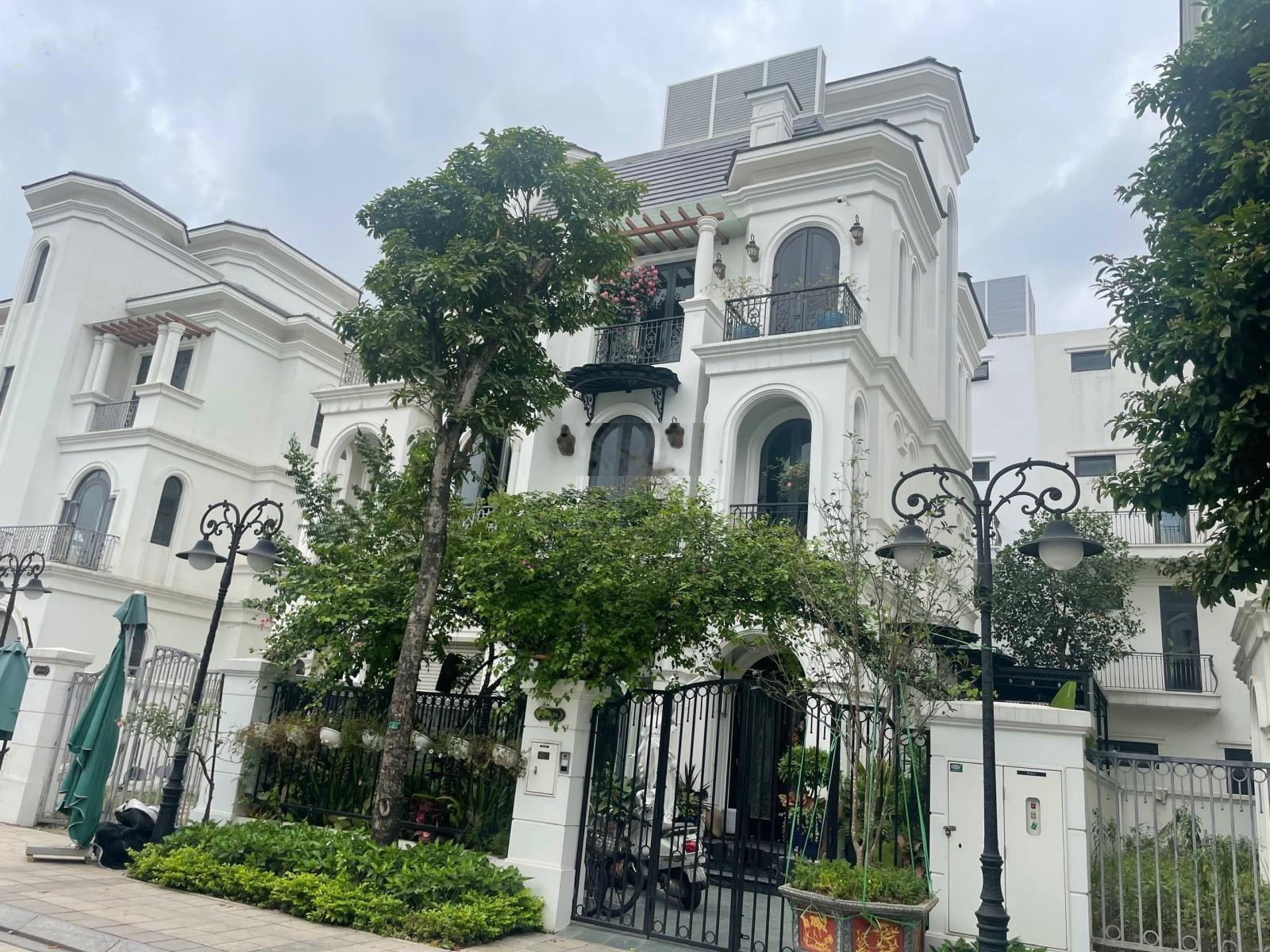 Bán song lập đảo lớn Ngọc Trai cạnh sông Vinhomes Ocean Park giá tốt nhất dự án