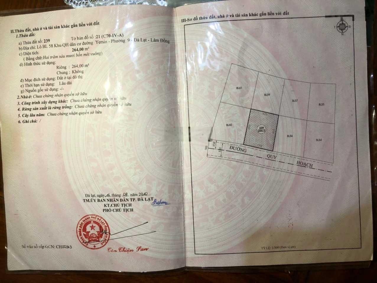 Cho thuê mặt tiền kinh doanh tại đường Yersin, Phường 9, Đà Lạt - 15x18 - 264m2 giá 20 triệu/tháng