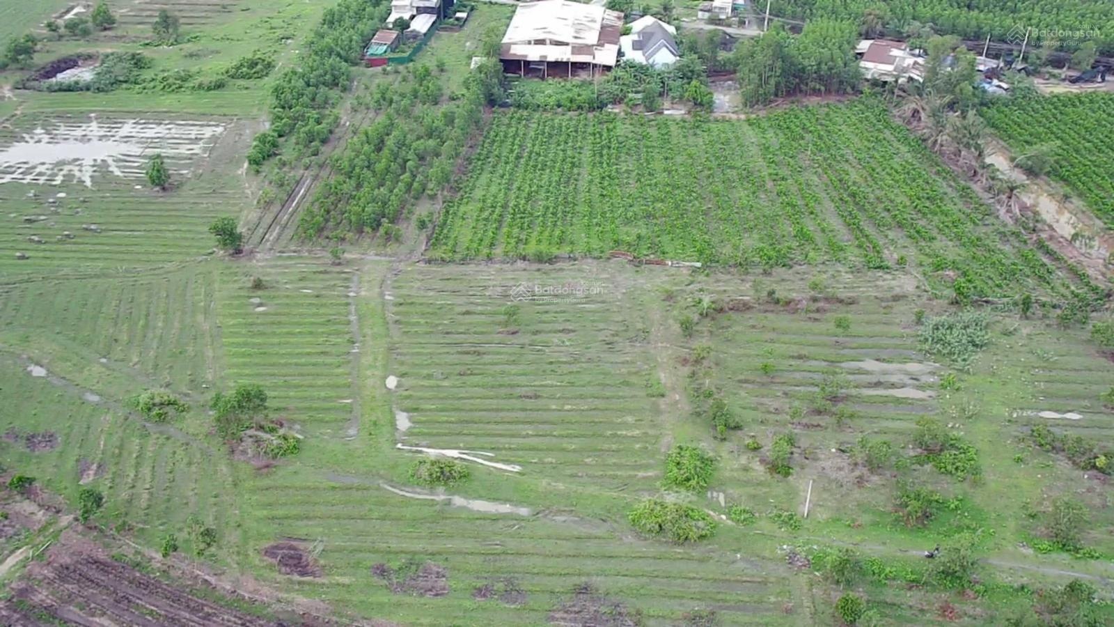 Giá hơn 4 triệu/1m2 đất phủ hồng ngay gần tuyến số 1 vào sân bay Long Thành, có 300m thổ cư!