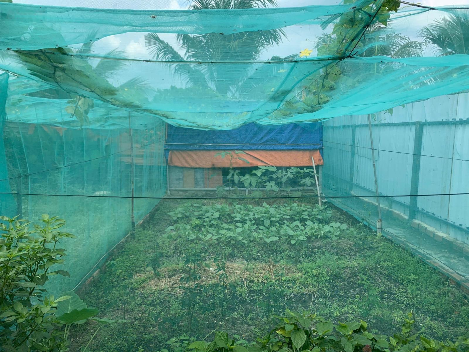 Cần bán gấp đất sẵn nhà, 267m2, ngang 8m, sẵn 197m2 thổ cư. Phường Bình Chiểu - Thủ Đức, giá 9 tỷ 5