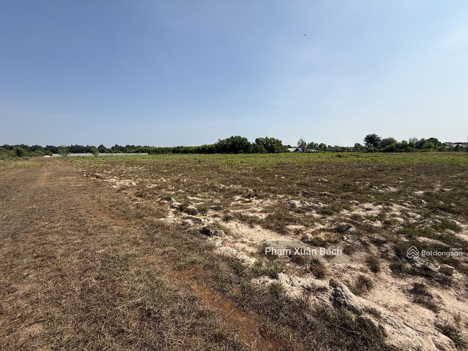 Bán đất 33.000m2 - 2MT Vành Đai 4 MT 60m, Xã Châu Pha, Phú Mỹ, HCM, giá cực chất 60 tỷ