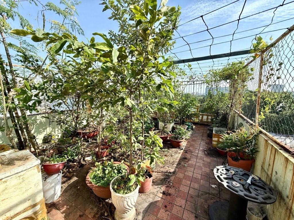 Chủ bán gấp CHDV 19 PN, hẻm xem hơi, gần Đại Học Văn Lang, Phường 13 Bình Thạnh, ngang nhà gần 5 m