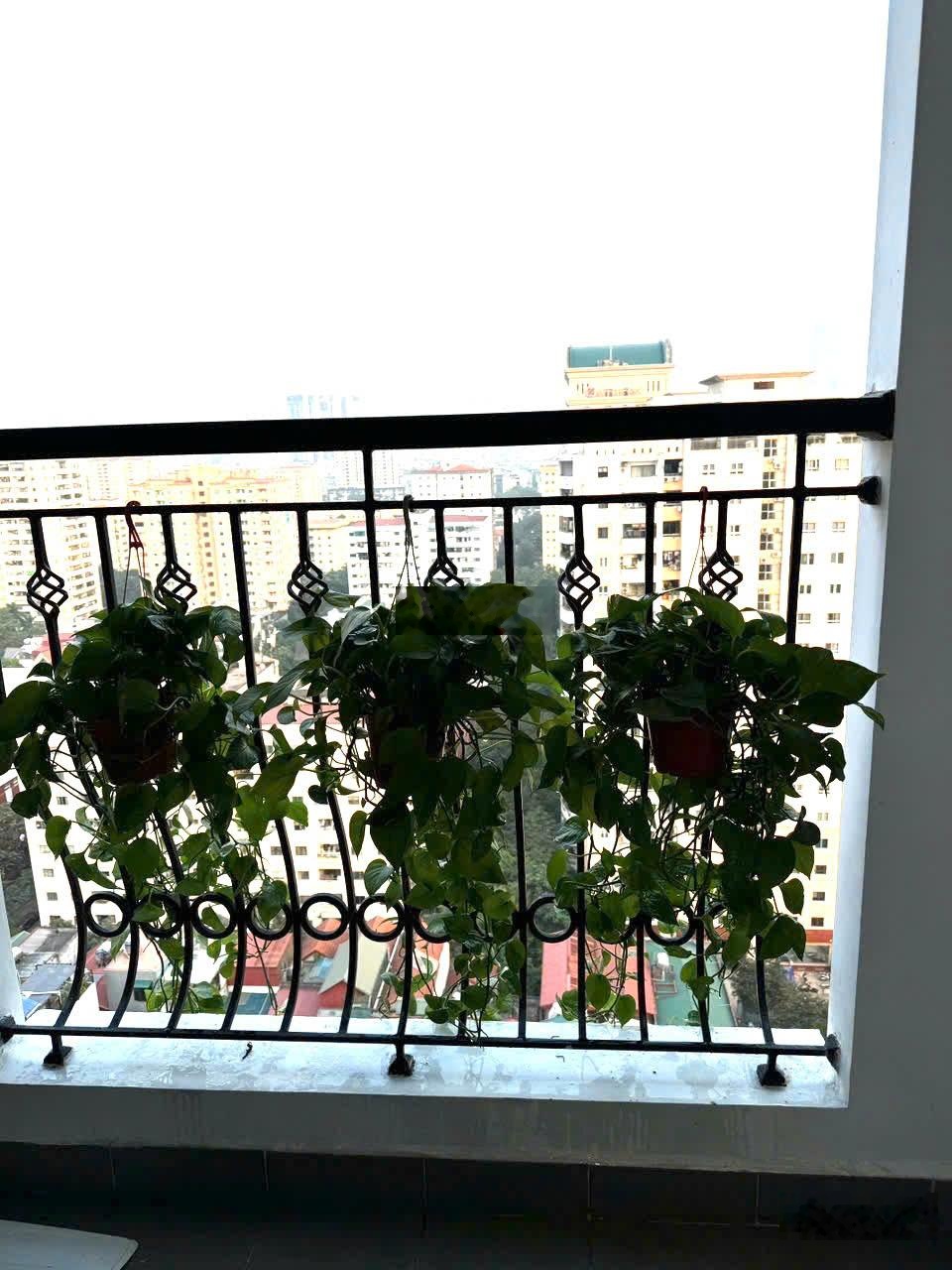 HÀNG HIẾM -Florence cho thuê CH 2PN 3PN giá chỉ từ 14.5tr/1thang