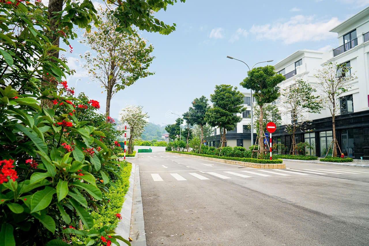 Bán shophouse Apec Diamond Park mặt đường Quốc Lộ 1A Lạng Sơn- Lh: 0904821002