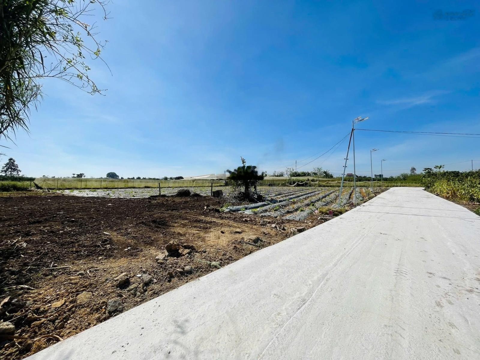 Bán đất 5x42m full thổ cư tại khu dân cư Tân Hội, giá chỉ 650 triệu