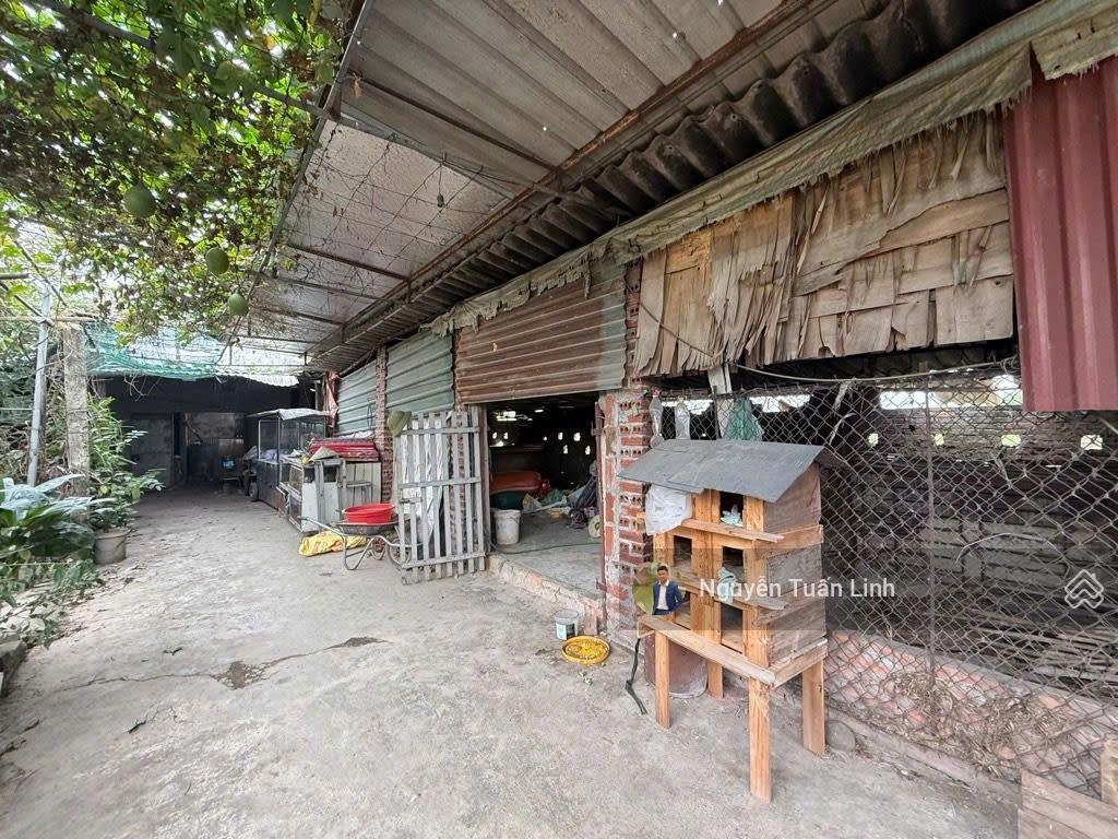 Bán 810m2 trang trại thôn Đìa, Nam Hồng - Sẵn nhà, sân, vườn - phong cách homestay