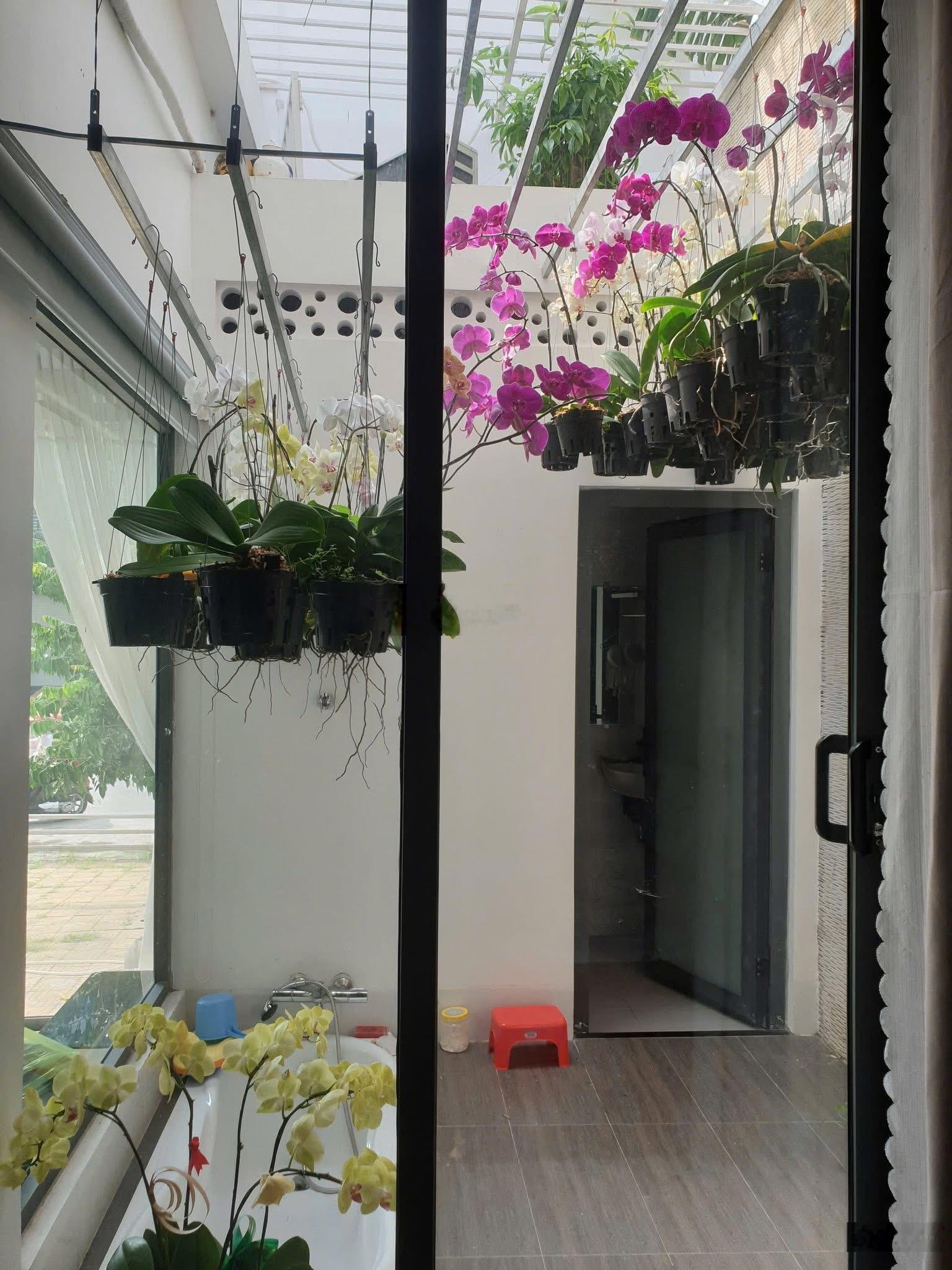 Bán cặp nền 10x17m diện tích đường A6 khu Hưng Phú lộ 30m. Giá 14 tỷ 300 triệu (TL thuế phí)