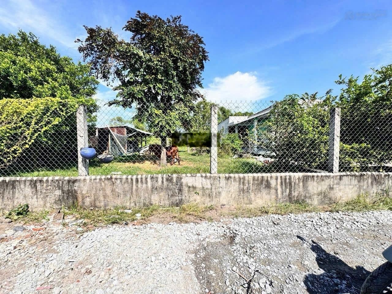 Chính chủ kẹt tiền bán 6,8x45m, 248m2 thổ cư, giá chỉ 670 triệu, sổ hồng, dân đông