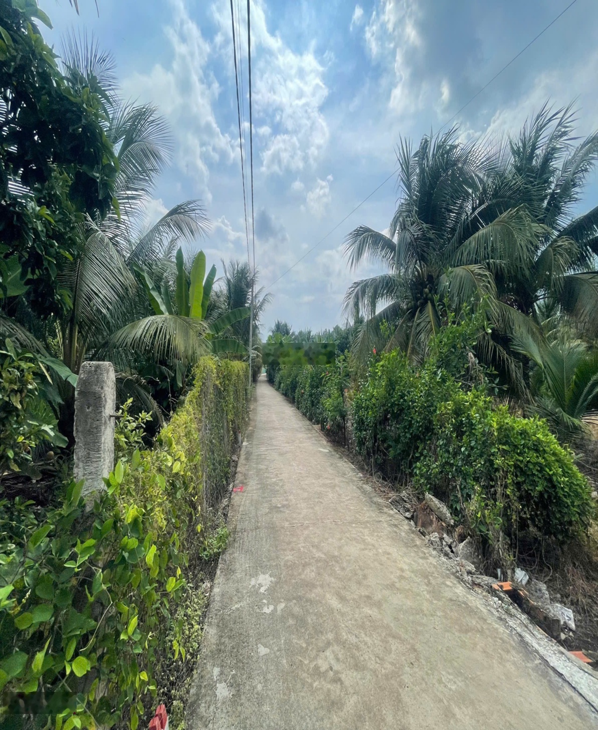 Bán đất tại ĐT 764, Sông Ray, Cẩm Mỹ, Đồng Nai, 400tr, 95.5m2. Đường bê tông 3,5m xe ô tô đến đất