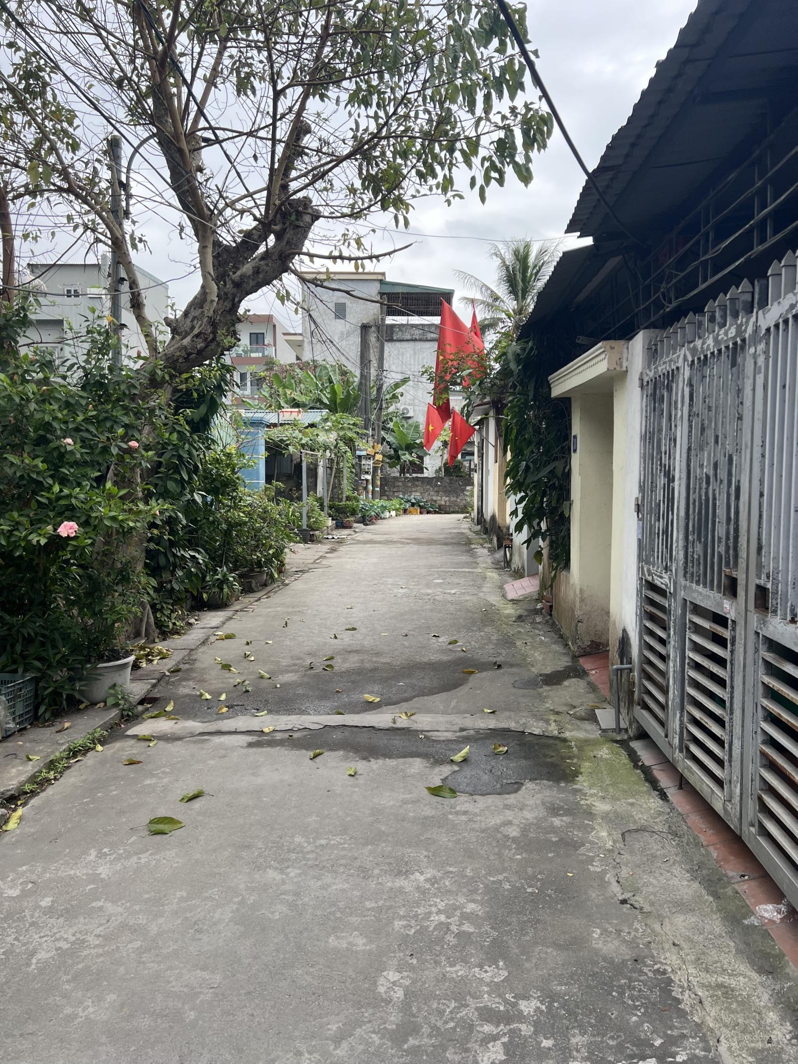 Bán đất Tuyển Than Hòn Gai Cột 8 Hạ Long, Quảng Ninh