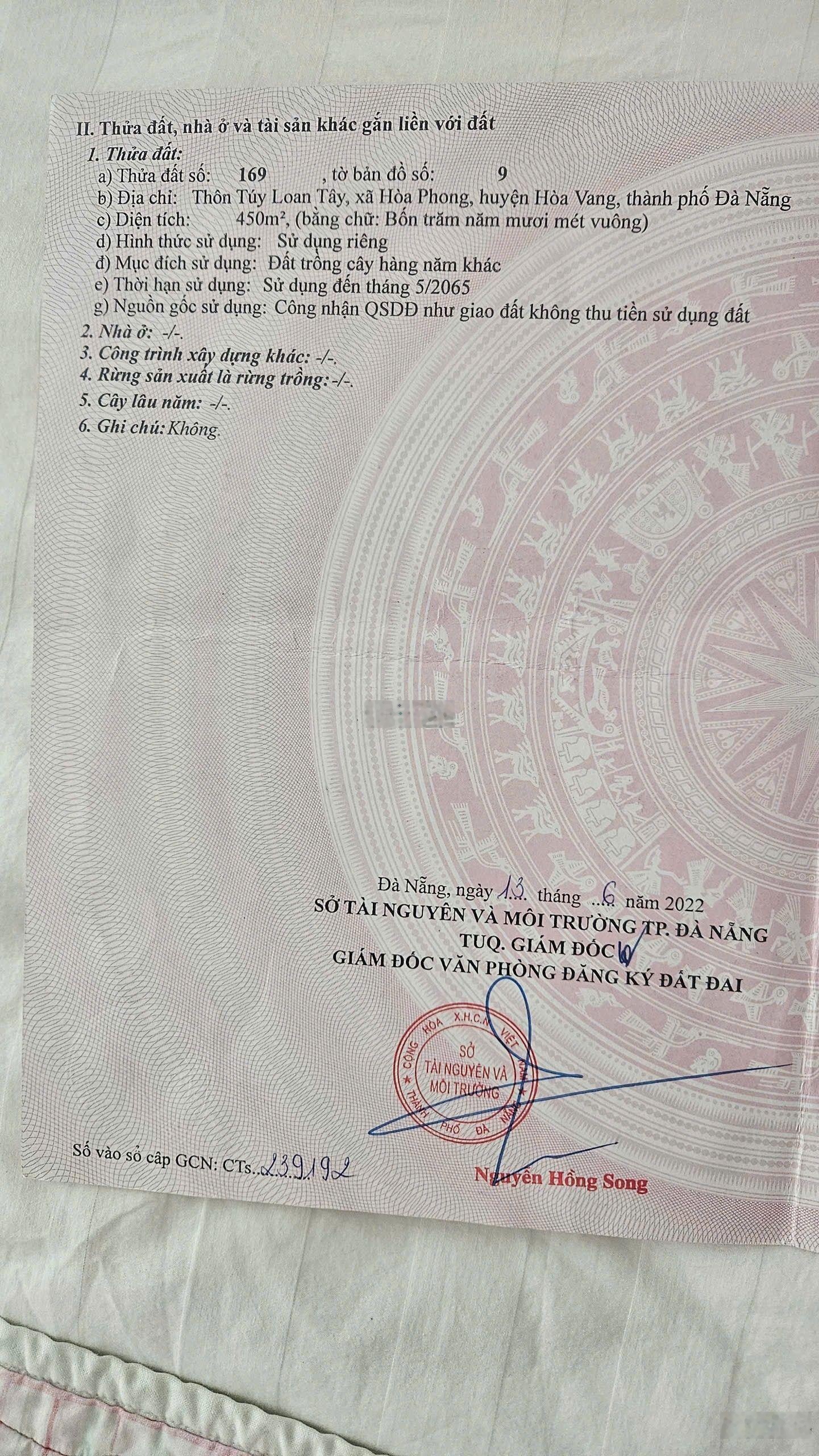 Đất ven sông Túy Loan - Hòa Vang, giá còn mềm, coi được