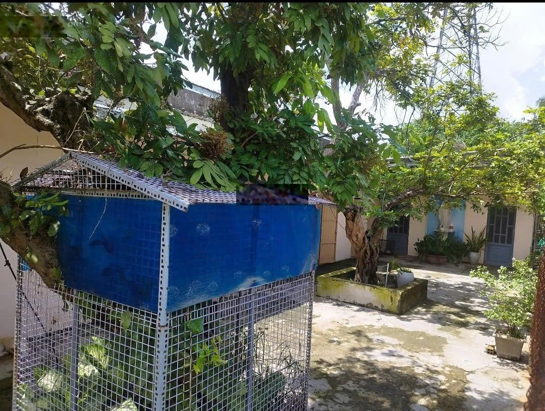 1000m2 nhà vườn 1/ ngắn đường Bình Mỹ chỉ 2.9 tỷ TL