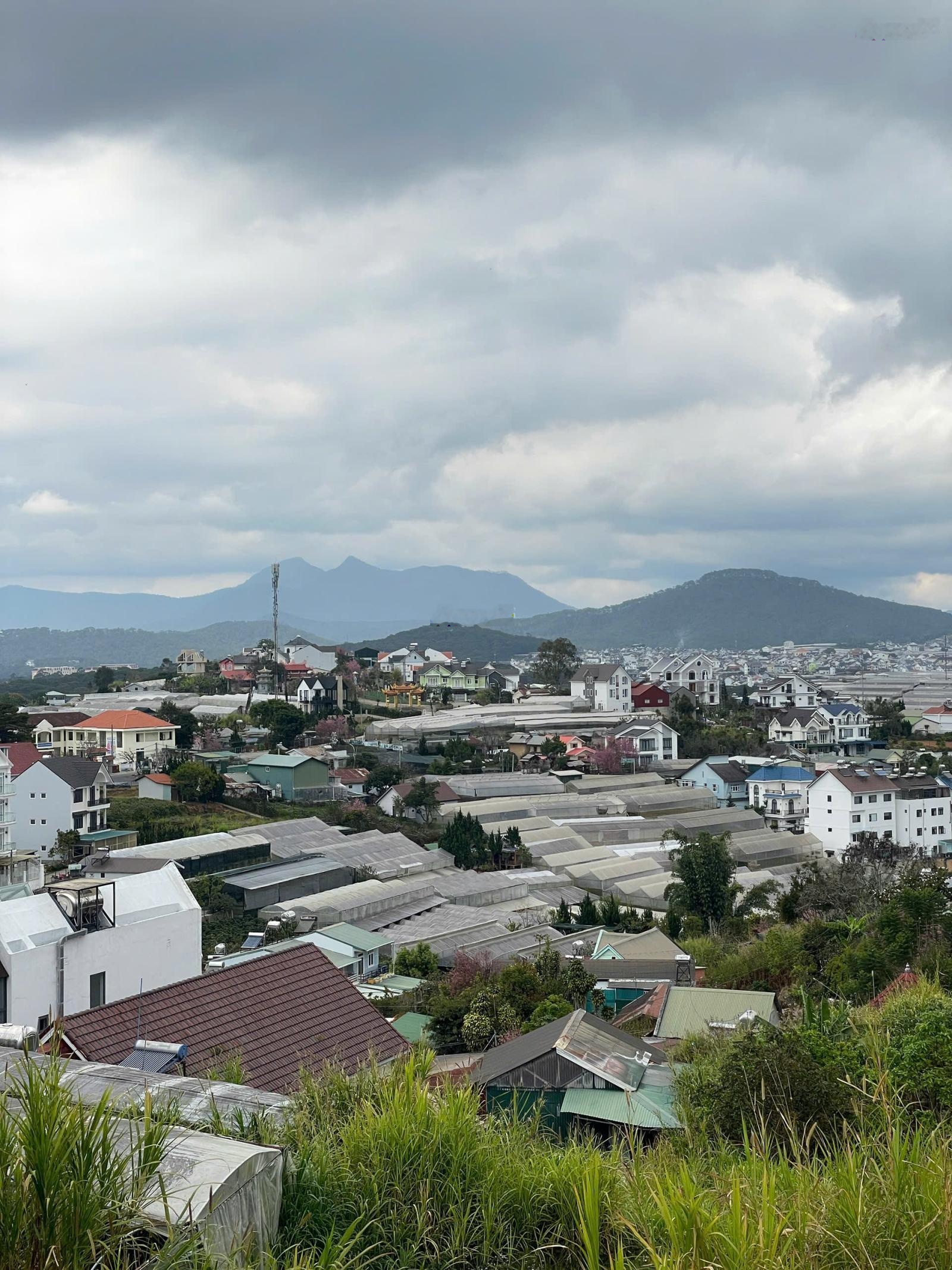 Bán đất tại Trịnh Hoài Đức, Phường 11, Đà Lạt, Lâm Đồng, giá siêu hời 8,3 tỷ, 210m2