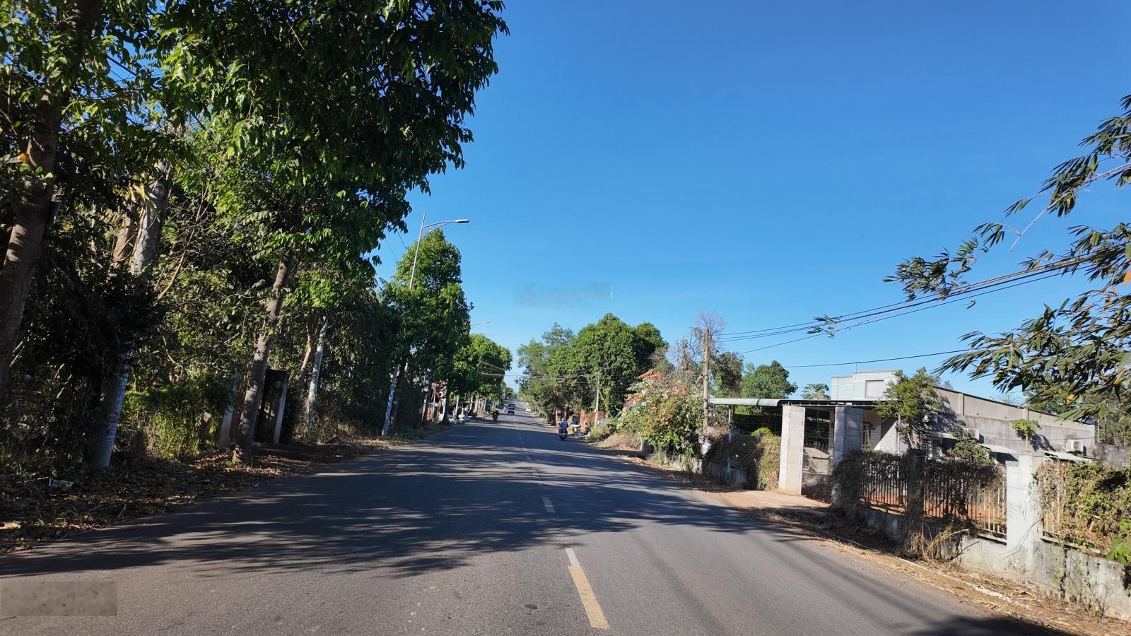 Bán đất sào Hương Lộ 2, xã Long Phước, DT: 1.181m2 tường rào bao quanh kiên cố, giá bán 4tỷ500tr