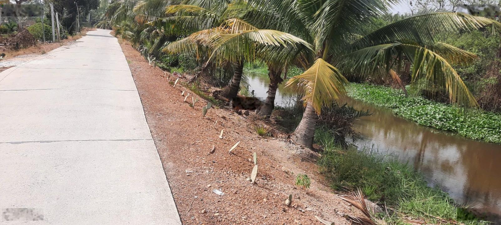 741 m2 vườn có 200m2 thổ đg bê tông liên ấp 5-6 view kênh lớn, kdc đông ghẹt.