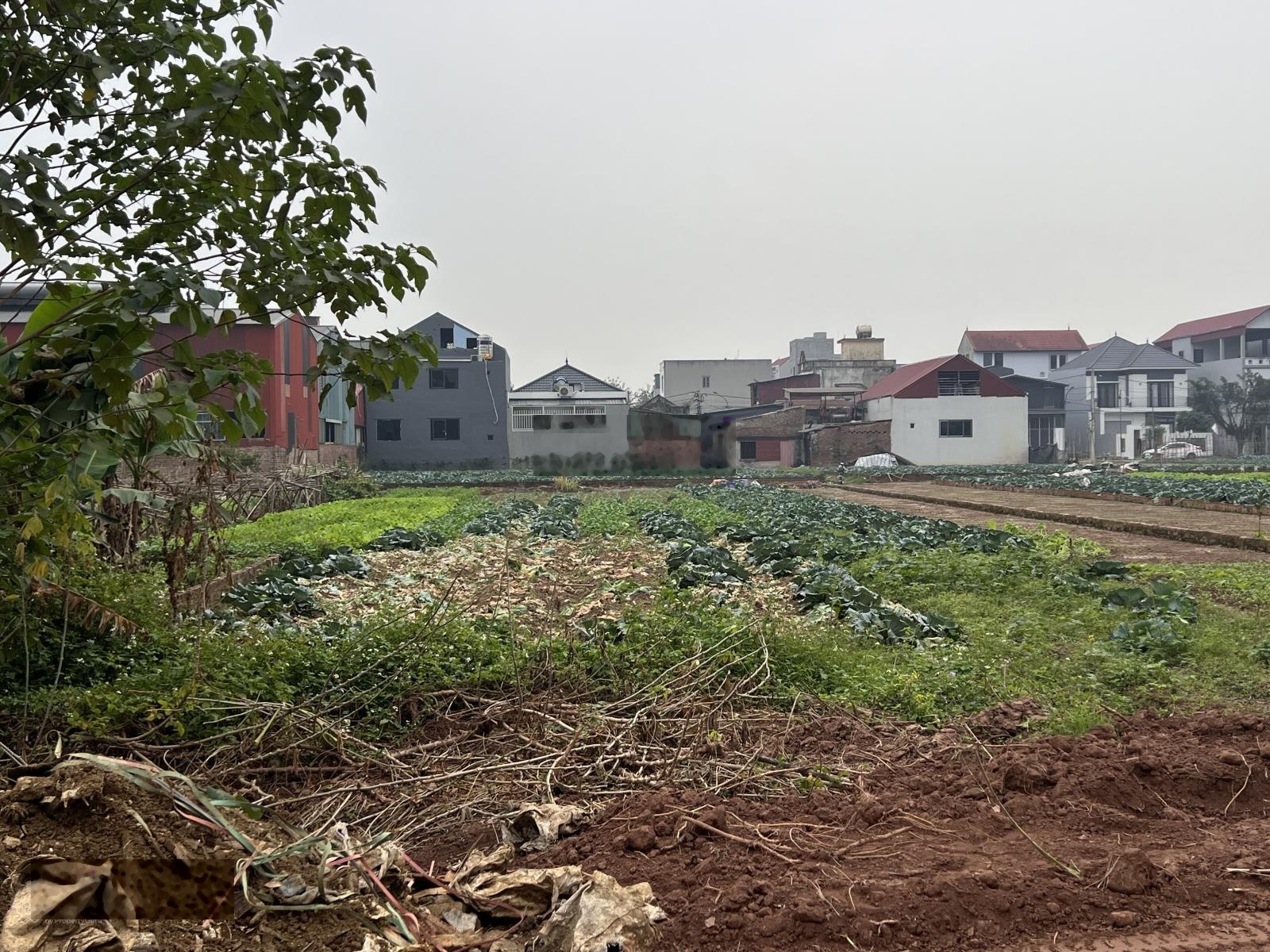 Bán đất tại Vân Côn, Hoài Đức, Hà Nội, 5 triệu / m2, 672 m2, mặt tiền 12.9m