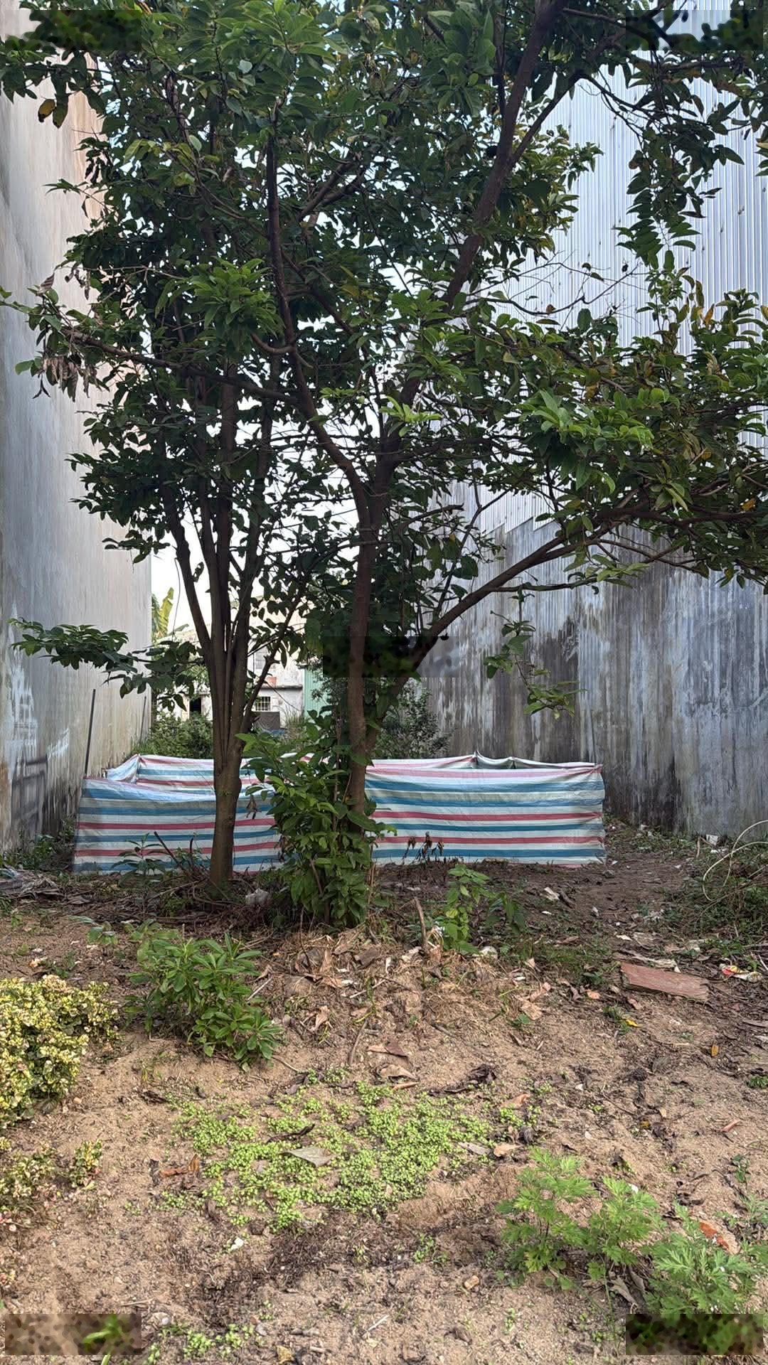 Bán gấp Đất tại Trần ĐìnBán gấp Đất tại Trần Đình Phong, 123m2, giá thỏa thuận, Điện Bàn, Quảng Nam