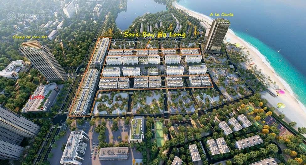 Shophouse biển Hạ Long xây dựng 6 tầng DT - 100m2 gía 14,5tỷ sổ đỏ lâu dài, CK 10% tặng 5 chỉ vàng