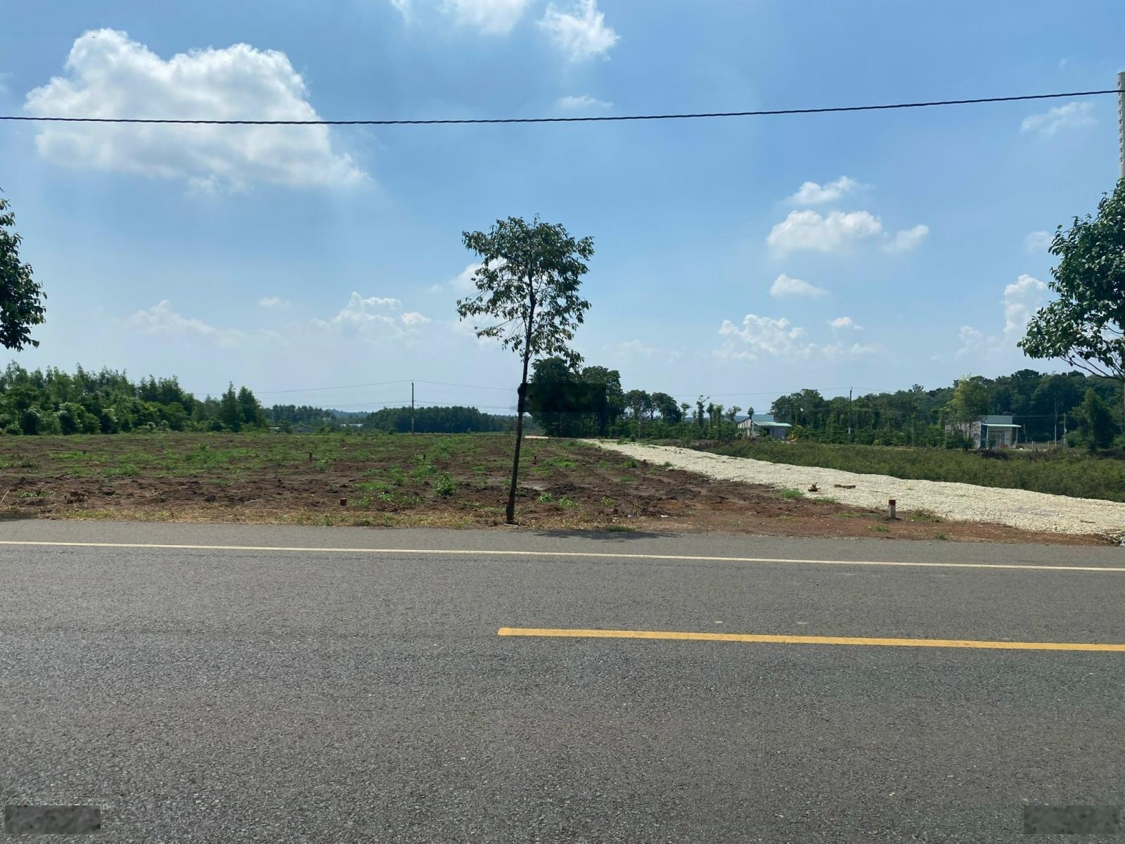 Bán đất KDC Phú Mỹ Avenue 5x24,6m nằm trên đại lộ Võ Văn Kiệt gần cảng quốc tế Cái Mép Thị Vải VT