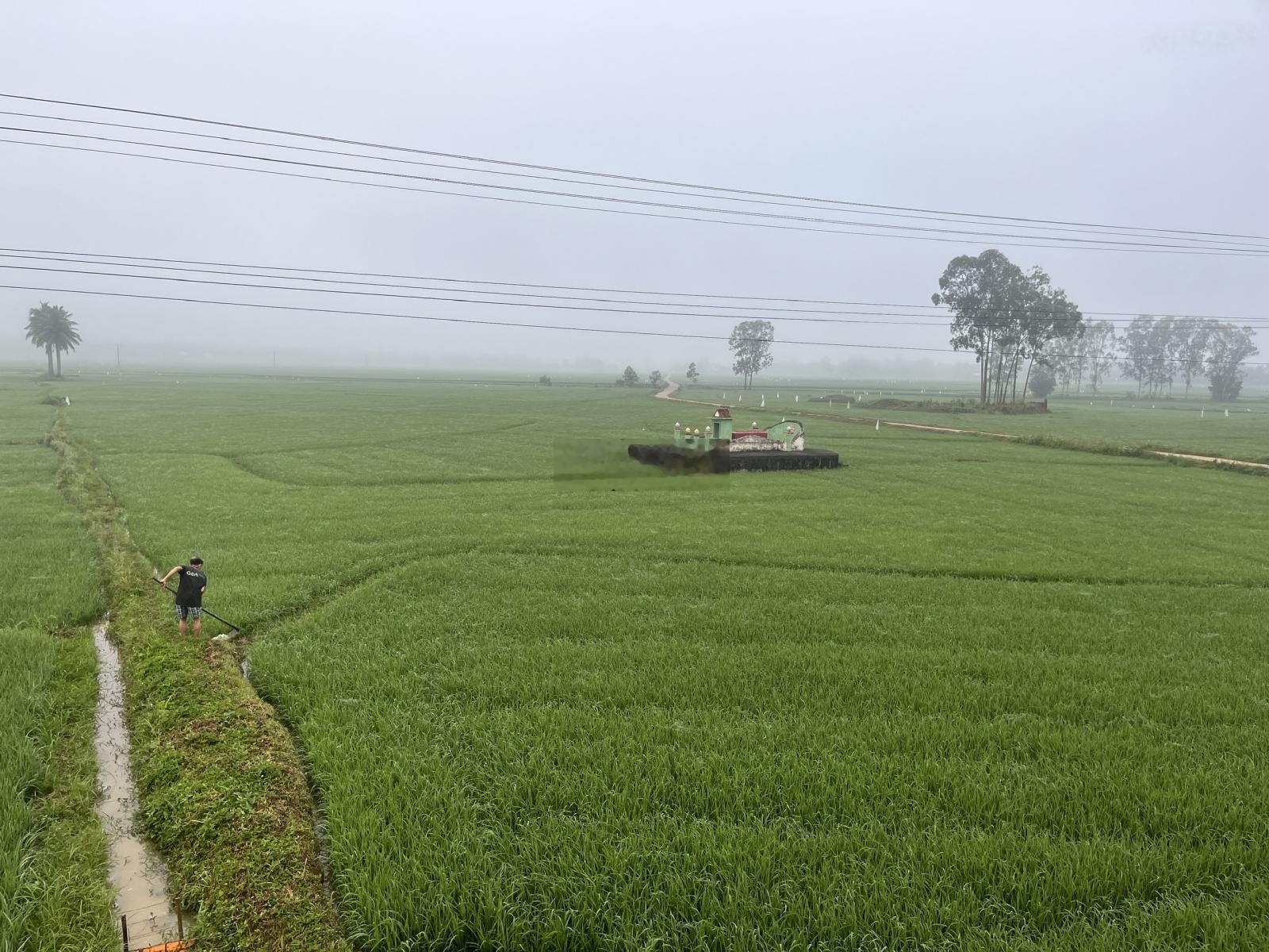 Bán đất nông nghiệp Phú Xuân 5, giá cực chất 22 triệu/m2, 12000m2