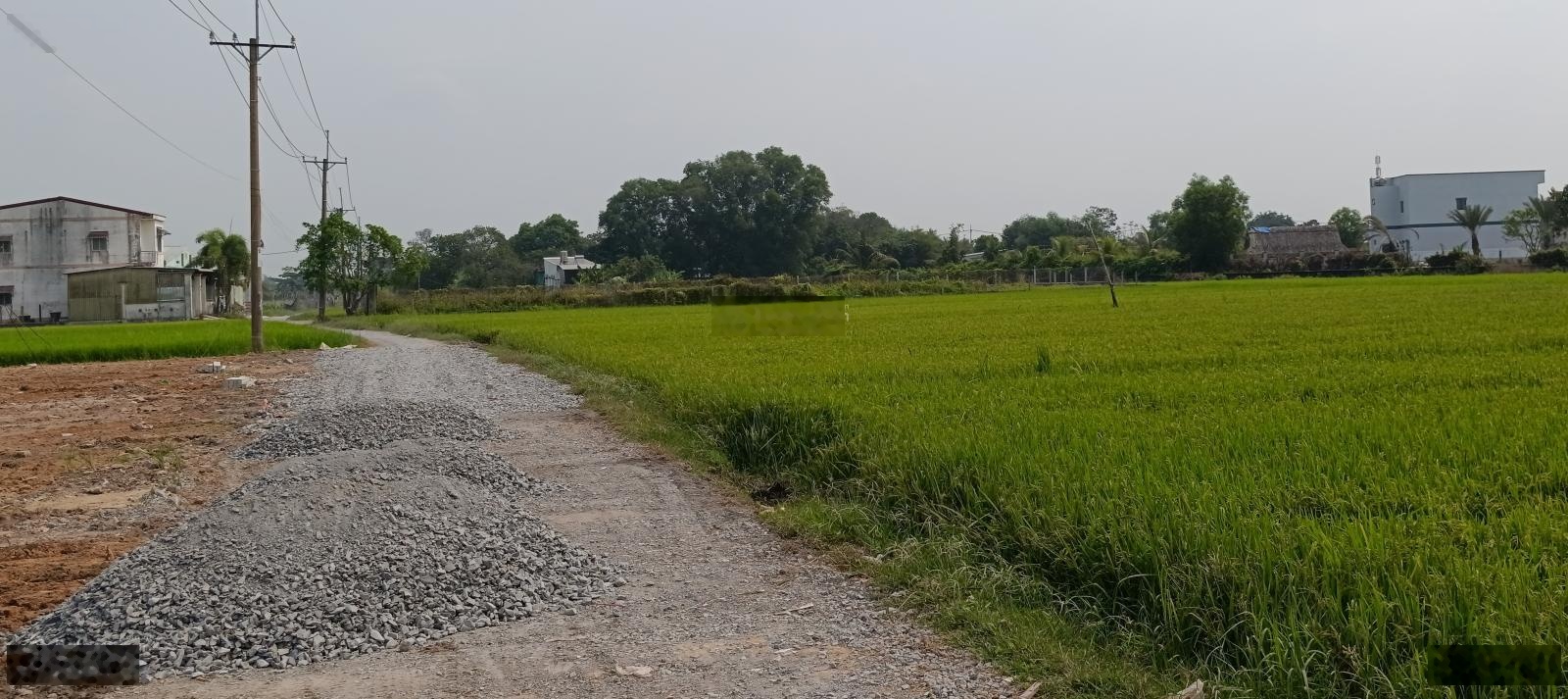 Bán đất siêu hot tại Tỉnh Lộ 2, 2,45 tỷ, 178m2